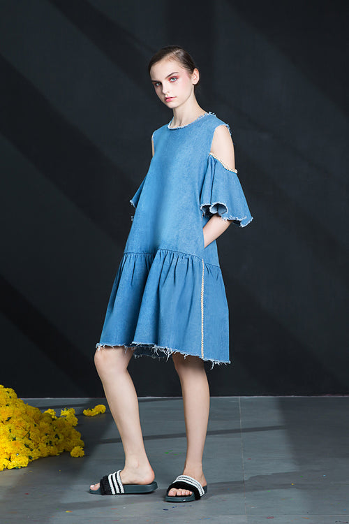 Joney Denim Dress